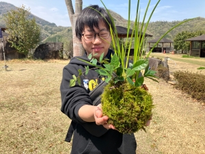 苔玉とは？由来と歴史と苔玉づくり体験を紹介！